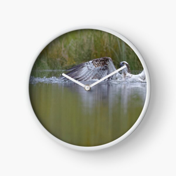 Osprey Clock