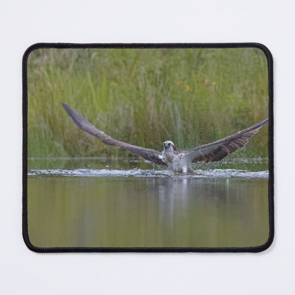 Item preview, Osprey designed and sold by Yves Roumazeilles (Wild Focus).