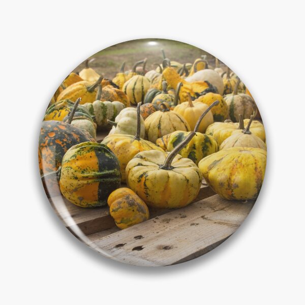 Item preview, Display at Italian Pumpkin Farm designed and sold by jojobob.