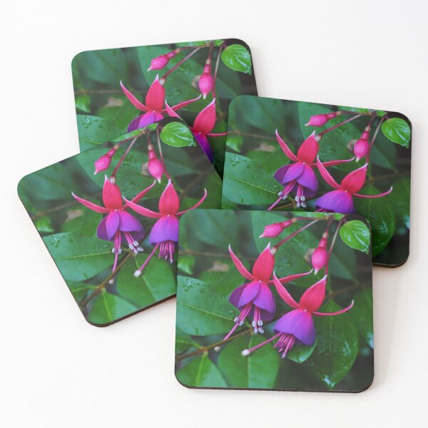 Item preview, fuchsias designed and sold by iago rodriguez dopico.