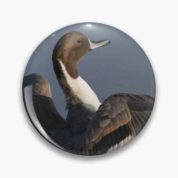 Item preview, Pintail designed and sold by LaurenTucker.