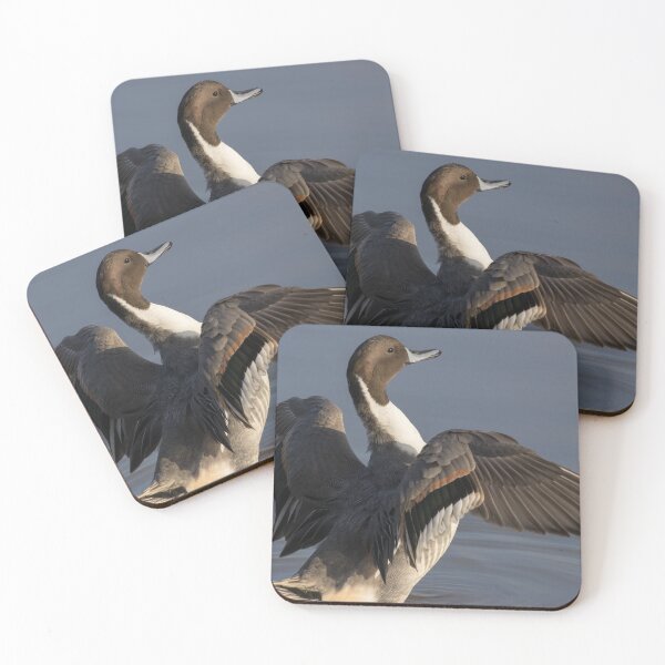Item preview, Pintail designed and sold by LaurenTucker.