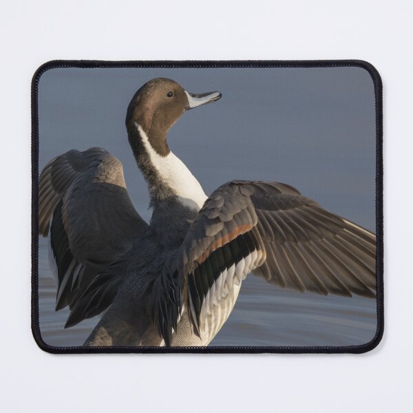 Item preview, Pintail designed and sold by LaurenTucker.