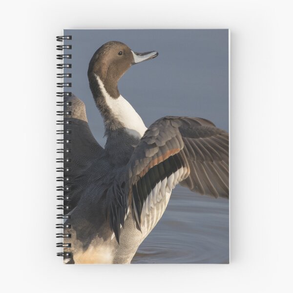 Item preview, Pintail designed and sold by LaurenTucker.