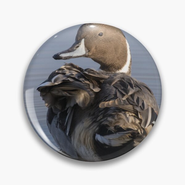 Item preview, Pintail designed and sold by LaurenTucker.