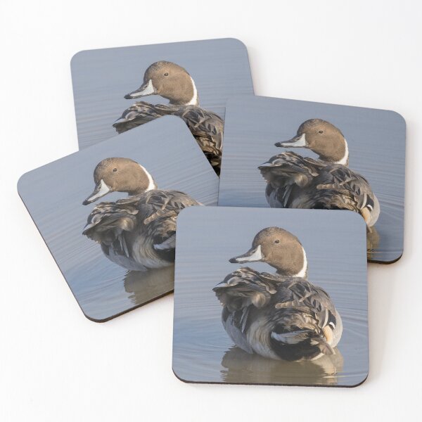 Item preview, Pintail designed and sold by LaurenTucker.