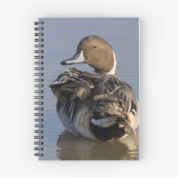 Item preview, Pintail designed and sold by LaurenTucker.