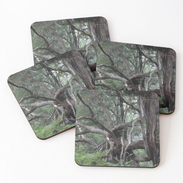 Item preview, Greens Bush #4 designed and sold by athexphoto.