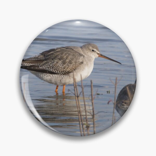 Item preview, Spotted Redshank designed and sold by LaurenTucker.