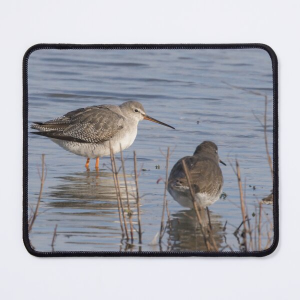 Item preview, Spotted Redshank designed and sold by LaurenTucker.