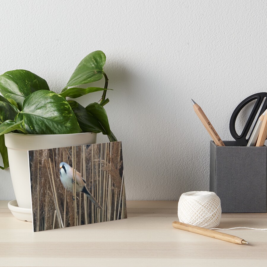 Item preview, Art Board Print designed and sold by MendipBlue.