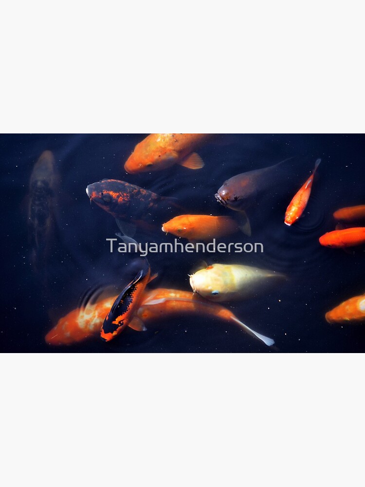 fish by Tanyamhenderson