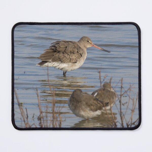 Item preview, Black Tailed Godwit designed and sold by LaurenTucker.