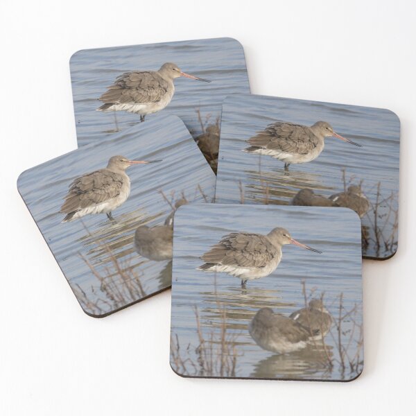 Item preview, Black Tailed Godwit designed and sold by LaurenTucker.