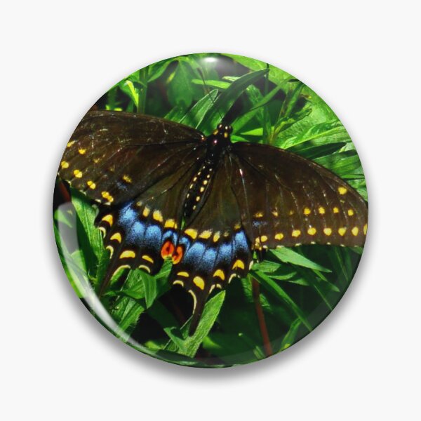 Item preview, Black Swallowtail Butterfly. designed and sold by Anthony Seeker.