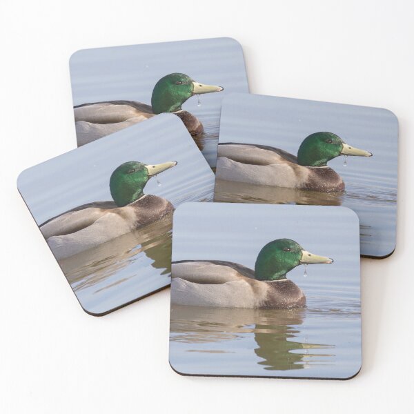 Artikelvorschau, Mallard entworfen und verkauft von LaurenTucker.