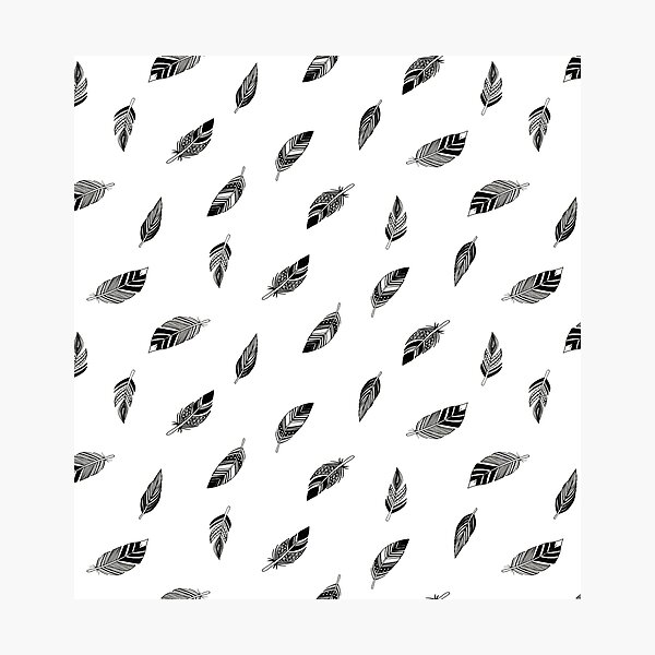 Plumes noires Impression photo