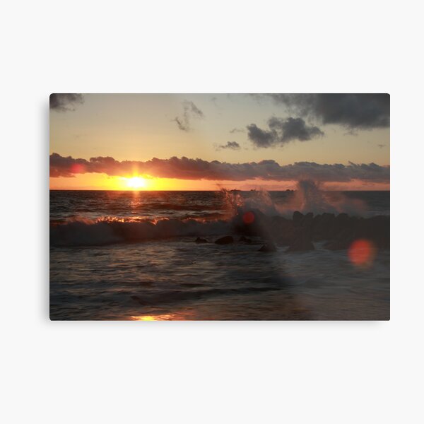 Metal Print