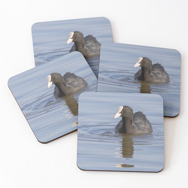 Item preview, Coot designed and sold by LaurenTucker.