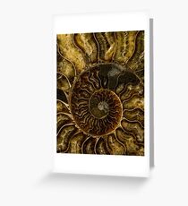 Earth Treasures - brown fossil Greeting Card