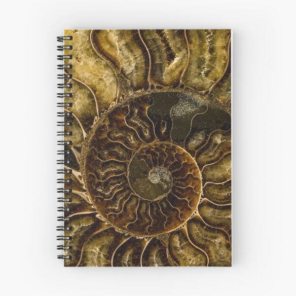 Item preview, Earth Treasures - brown fossil designed and sold by JBlaminsky.