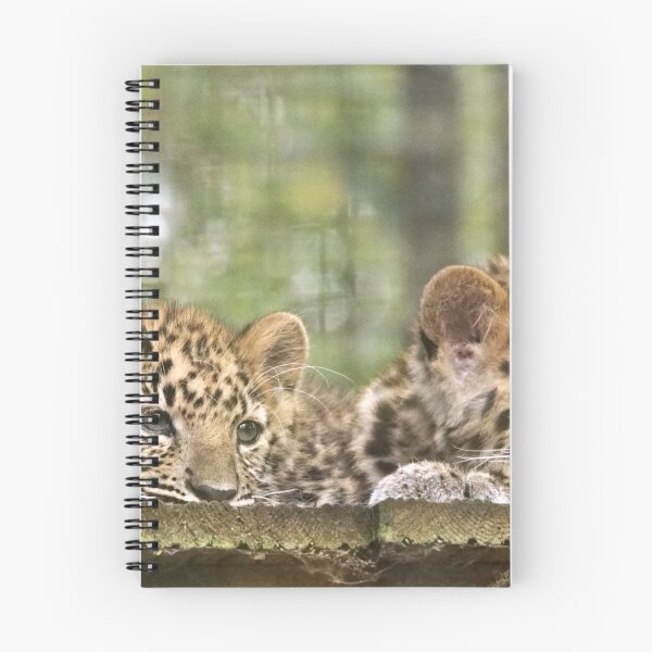 Item preview, Leopard Cubs designed and sold by MendipBlue.