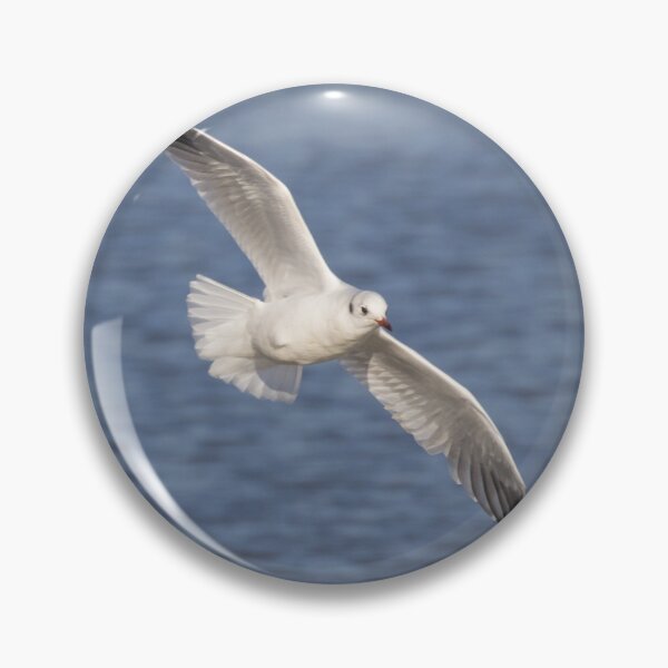 Item preview, Black Headed Gull designed and sold by LaurenTucker.
