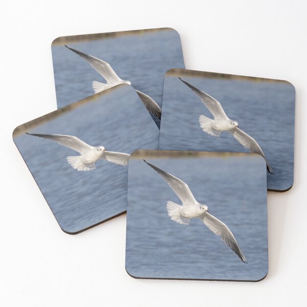 Item preview, Black Headed Gull designed and sold by LaurenTucker.