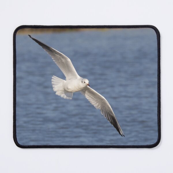 Item preview, Black Headed Gull designed and sold by LaurenTucker.
