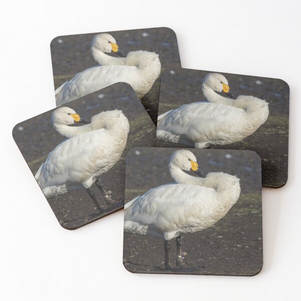 Aperçu de l'œuvre Bewick Swan créée et vendue par LaurenTucker.