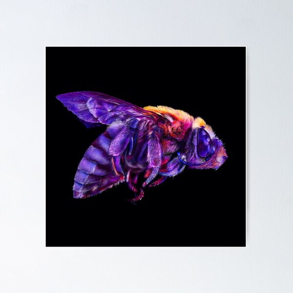 Item preview, Macro Bee designed and sold by DonnaKBrowning.