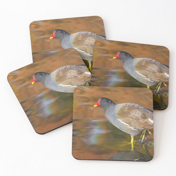 Item preview, Moorhen designed and sold by LaurenTucker.