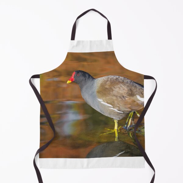 Item preview, Moorhen designed and sold by LaurenTucker.