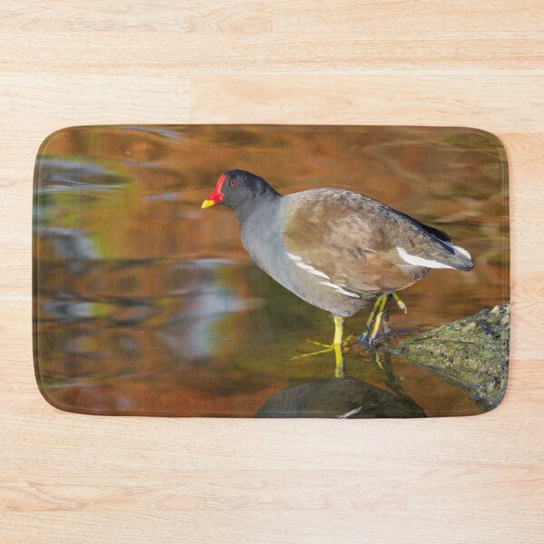 Item preview, Moorhen designed and sold by LaurenTucker.