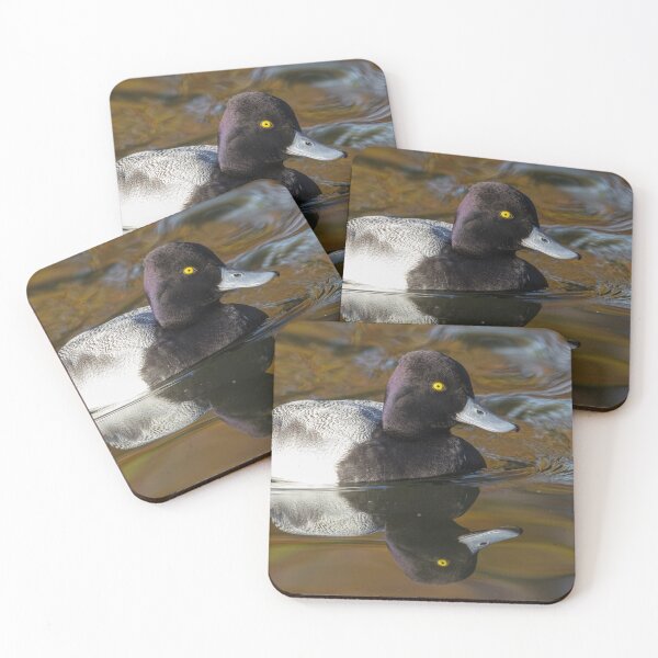 Item preview, Lesser Scaup designed and sold by LaurenTucker.