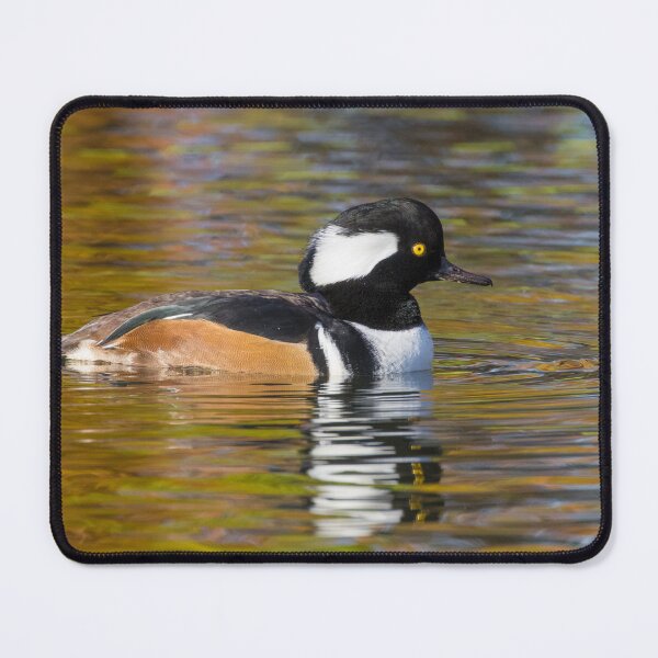 Item preview, Hooded Merganser designed and sold by LaurenTucker.