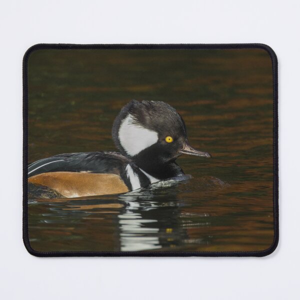 Item preview, Hooded Merganser designed and sold by LaurenTucker.