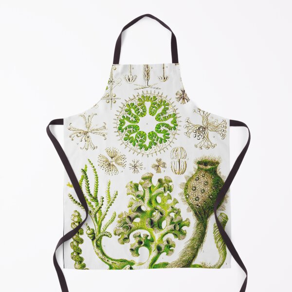 Item preview, Plate 35a. Hexactinellae, glass sponges. designed and sold by Squirrox.