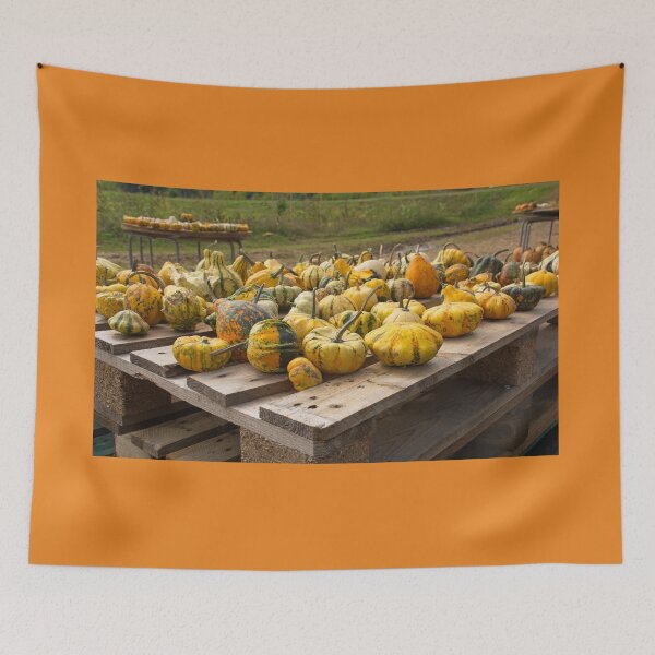 Item preview, Display at Italian Pumpkin Farm designed and sold by jojobob.
