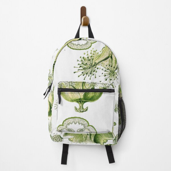 Item preview, Plate 48a. Stauromedusae, the order of stalked jellyfish. designed and sold by Squirrox.