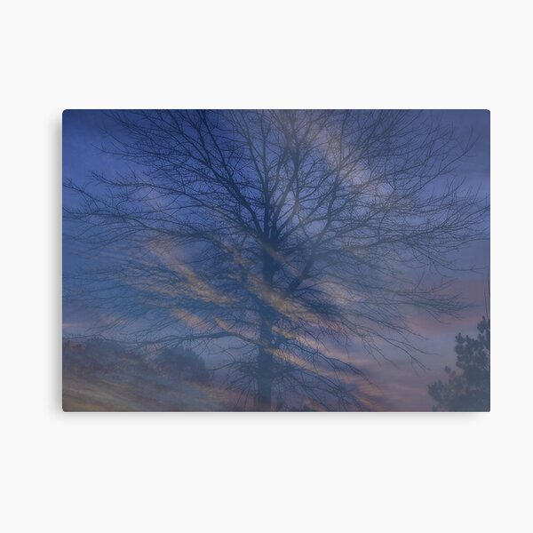 Morning Swirl Metal Print