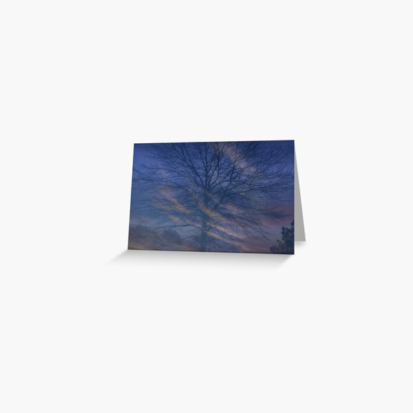 Morning Swirl Greeting Card