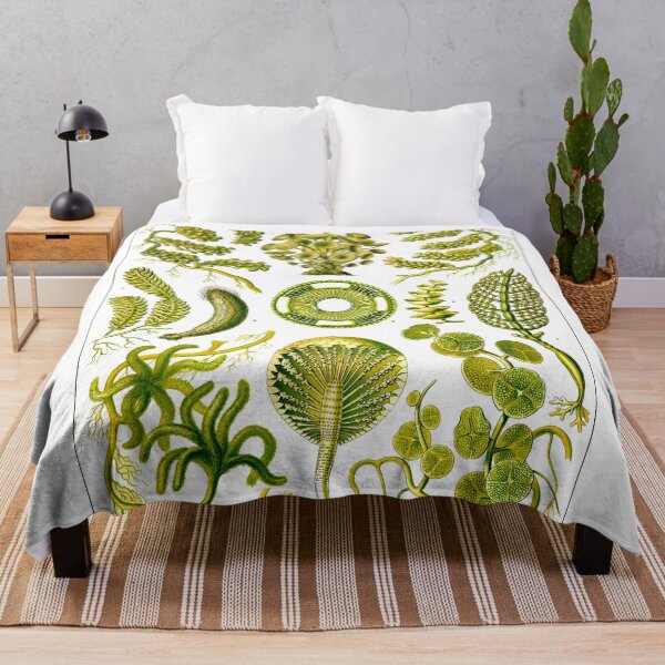 Item preview, Plate 64a. Mainly marine green algae.  designed and sold by Squirrox.