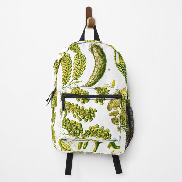 Item preview, Plate 64a. Mainly marine green algae.  designed and sold by Squirrox.