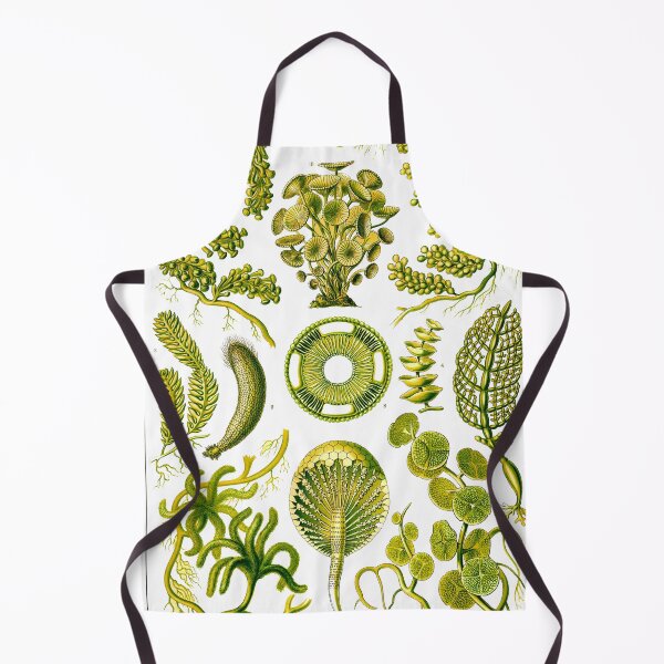 Item preview, Plate 64a. Mainly marine green algae.  designed and sold by Squirrox.