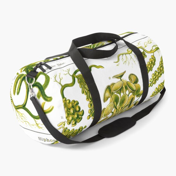 Item preview, Plate 64a. Mainly marine green algae. designed and sold by Squirrox.