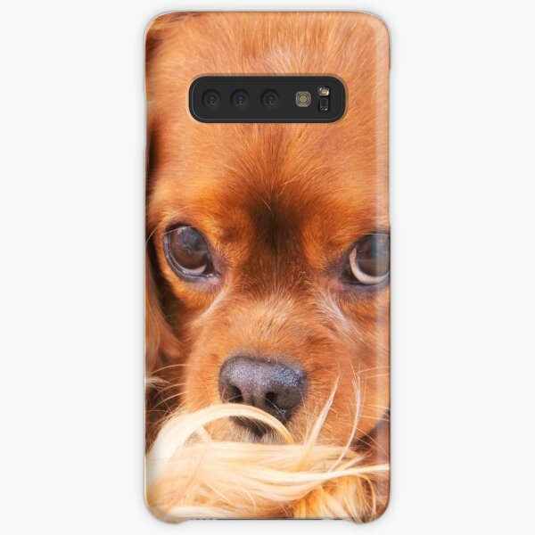 A Special Friend~ Cavalier King Charles Spaniel Samsung Galaxy Snap Case