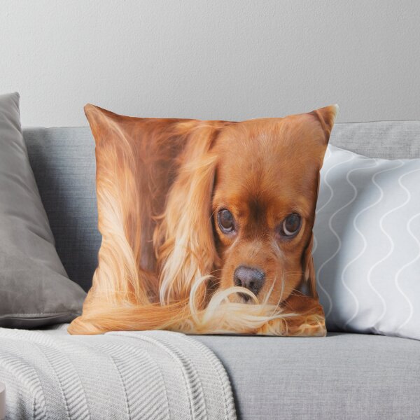 A Special Friend~ Cavalier King Charles Spaniel Throw Pillow