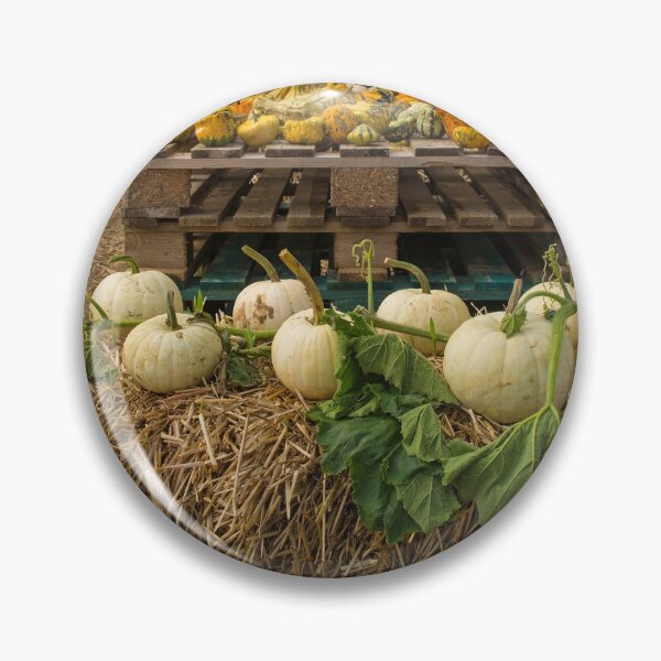 Item preview, Display at Italian Pumpkin Farm designed and sold by jojobob.