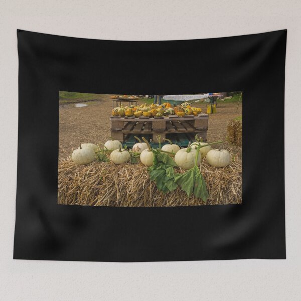 Item preview, Display at Italian Pumpkin Farm designed and sold by jojobob.